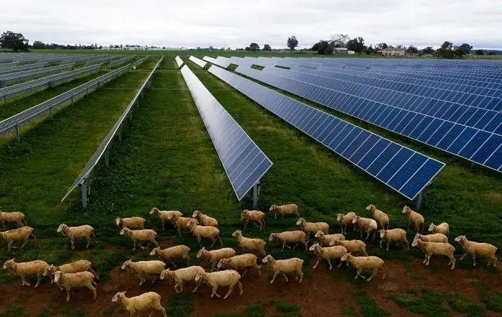 apalicacao de energia solar na agricultura min aplicação-de-energia-solar-na-agricultura-min