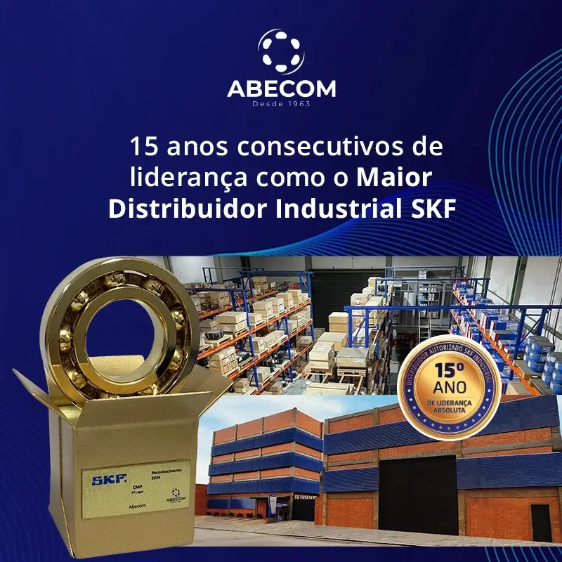 15 anos skf