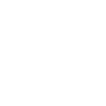 skf 1 skf (1)
