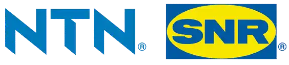 ntn snr logo