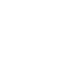 ntn ntn