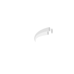 realflex 150x150 1 realflex-150x150